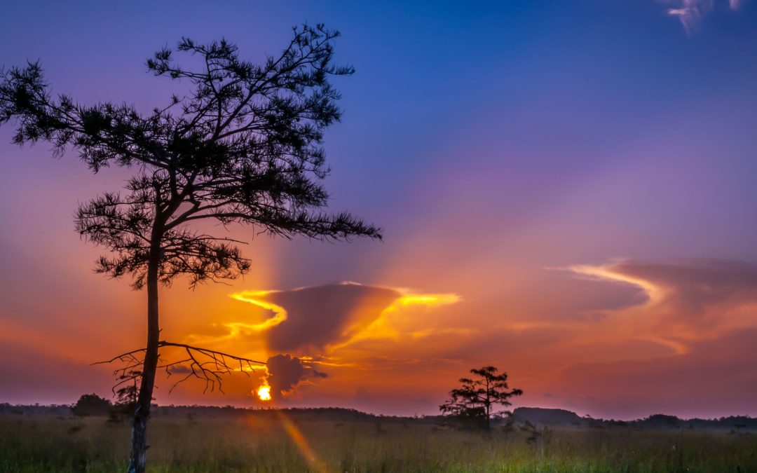 Delighted to just be – Stacey