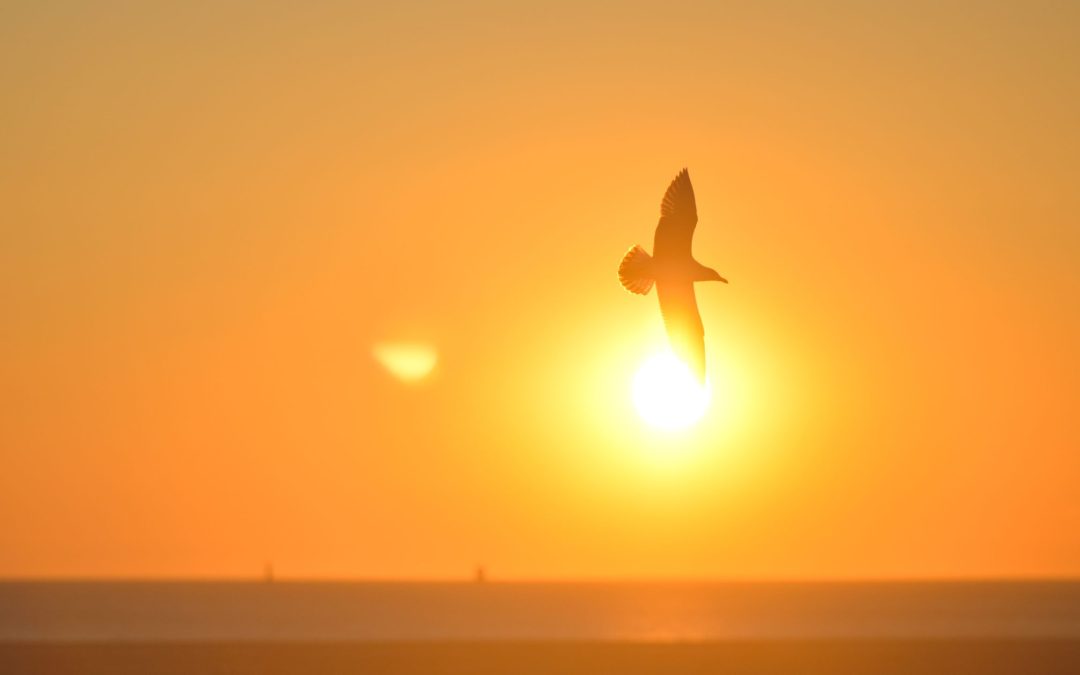 From Today, I Choose – Alison