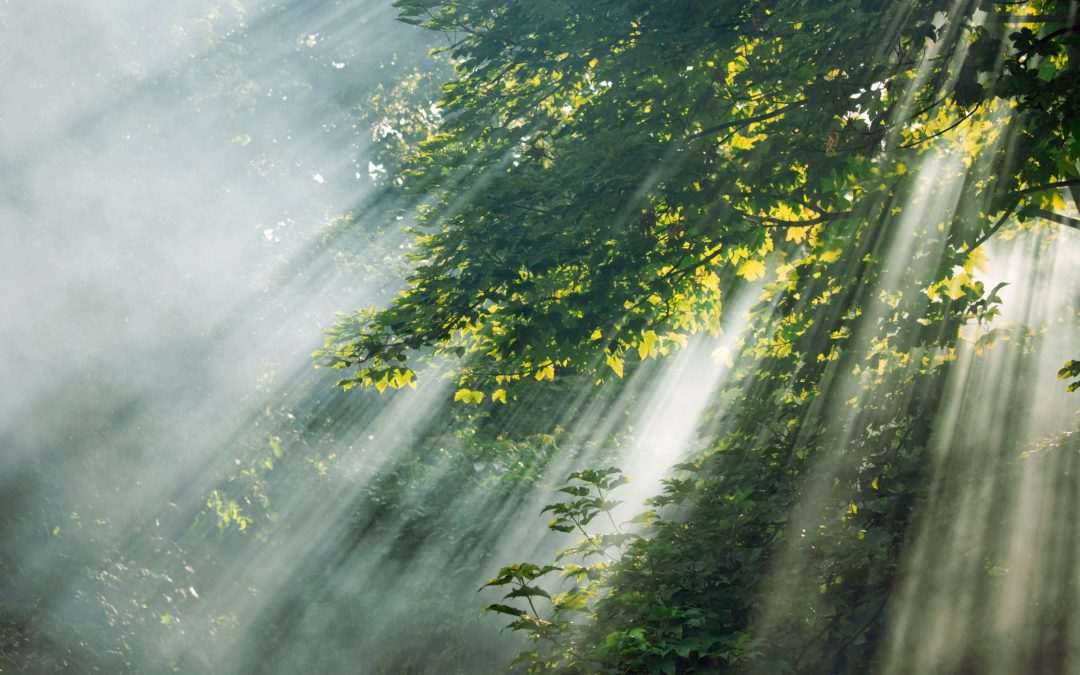 When You Finish Surrendering, Surrender More – Tahira