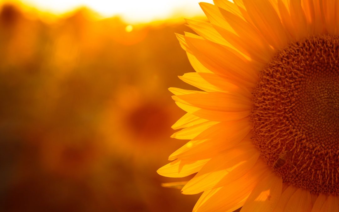 Open Hours for Thy Soul – Lucia