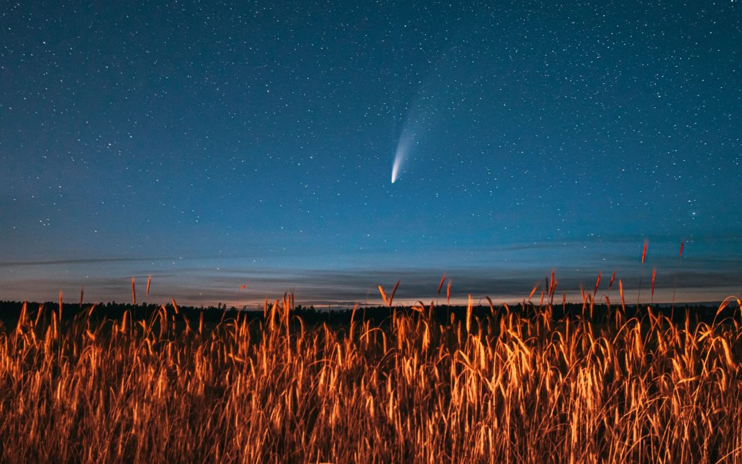 Beloved Body, Holy Fire – Marija