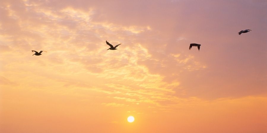 Welcoming Every Younger Part Home – Lucia