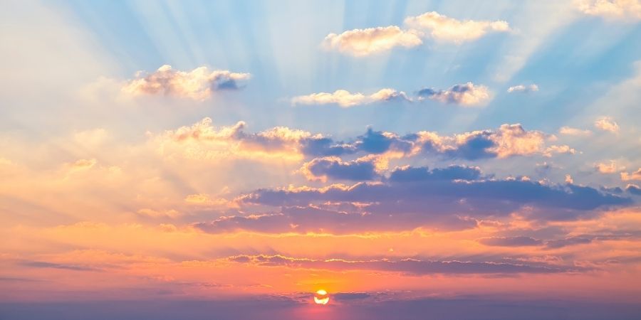 Forged for Love – Todd