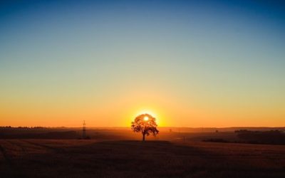 Light and Sweetness – Sean Roberts