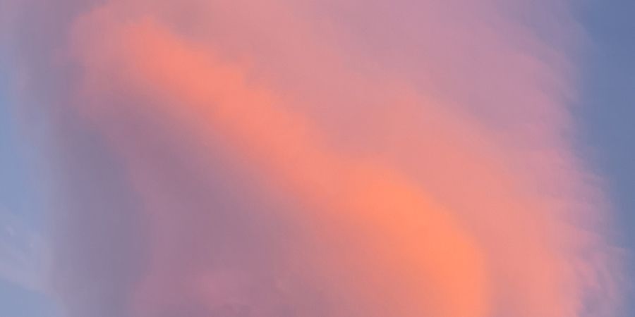 Thought of Love Made Visible – Todd