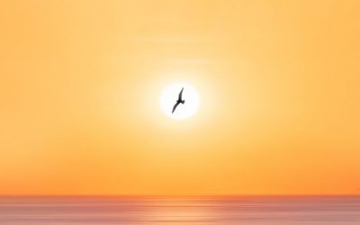 Hugging My Soul with Stillness – Sean