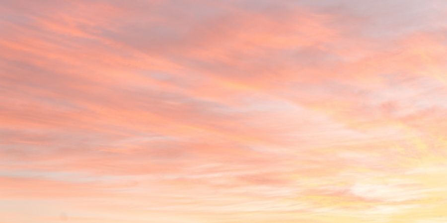 You Are the Treasure – Sean