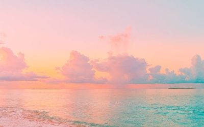 What Gentle Would Say to Me – Elisa