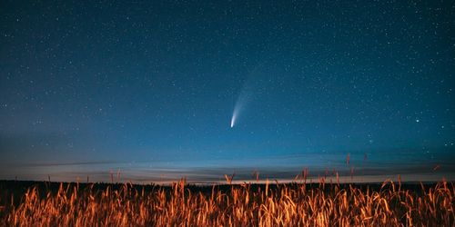 Grateful Being – Bernd